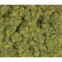 2mm Herbes de printemps 100g