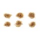 4mm Touffes d'herbes auto-adhésives sol sablonneux (100)