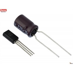 Clignotant / Clignotant alternatif 7 - 24 V/DC