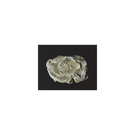 Moule pour gros rochers
