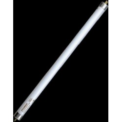 Tube d'éclairage blanc de 8w (non actinique)