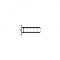 DIN84 M4x8 L
