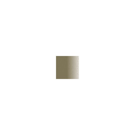 Beige Cam