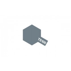 TS100 Gun Metal Clair
