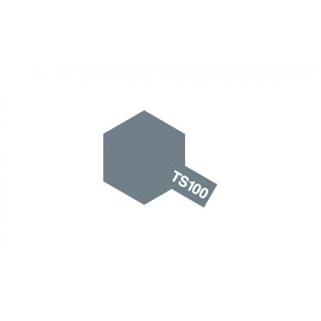 TS100 Gun Metal Clair