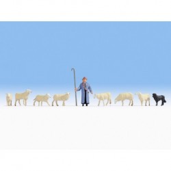 HO / Berger et moutons
