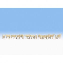 HO / Moutons x14