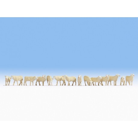 HO / Moutons x14