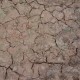 WET CRACKLE EFFECTS - 100ml