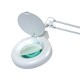 Lampe loupe fluorescente 5 dioptries 22W blanc
