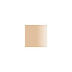 Beige Radome