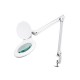 LAMPE-LOUPE LED 8 DIOPTRIES - 8 W - 80 LEDS - BLANC