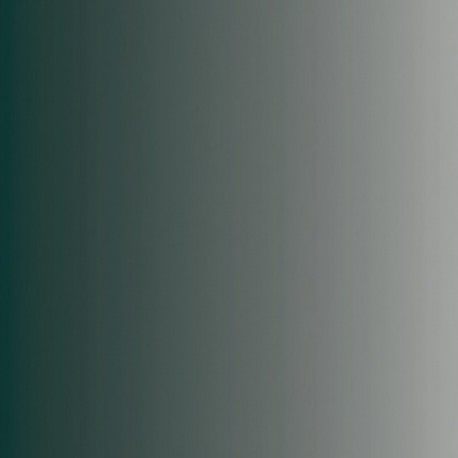 Gris foncé USAF Dunkelgrau 42