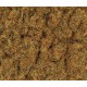2mm Herbes de printemps 30g