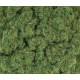 2mm Herbes de printemps 100g