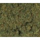 2mm Herbes de printemps 100g