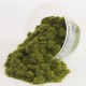 4mm Herbes de printemps 20g