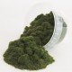 6mm Herbes de printemps 20g