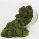 4mm Herbes de printemps 100g