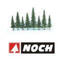 NOCH - Arbres et Plantes