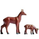 Animaux sauvages