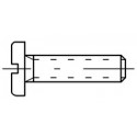 Vis polyamide